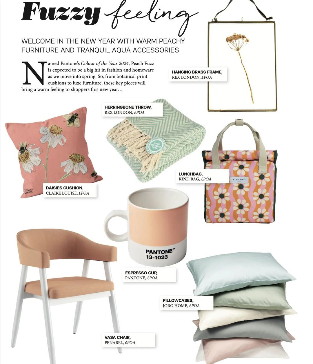 Peach Fuzz Daisies Cushion