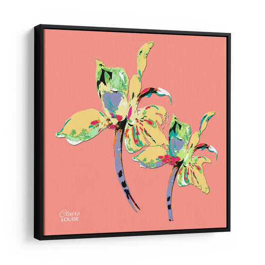Peach Fuzz Iris Framed Canvas Print