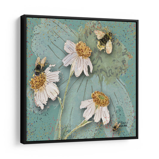 Powder Bloom Daisies Framed Canvas Print