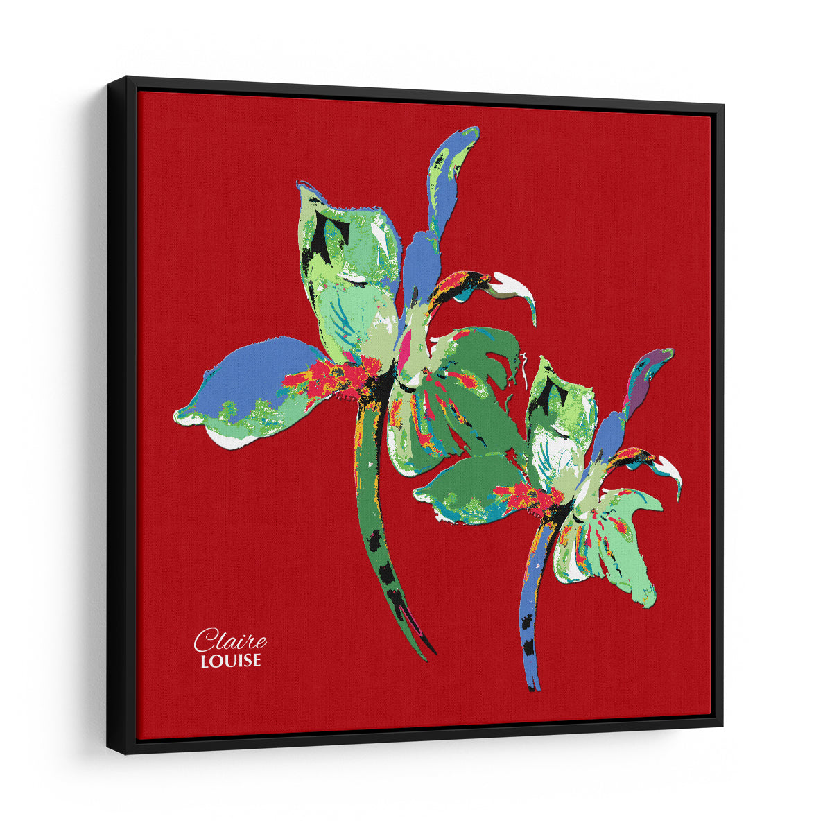 Tomato Red Iris Framed Canvas Print