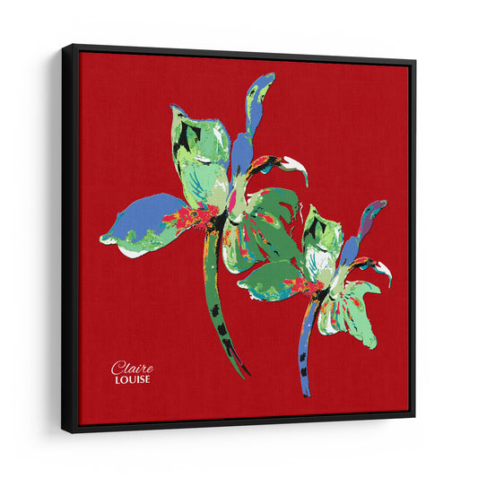Tomato Red Iris Framed Canvas Print